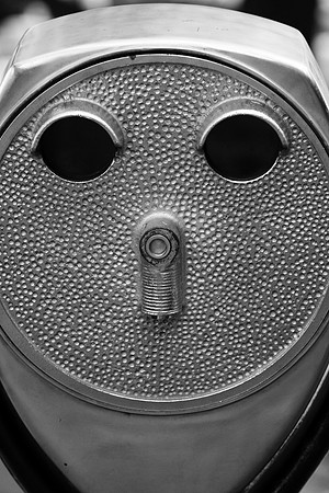 Take me to your leader