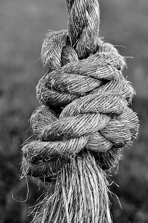 Ropeswing Knot