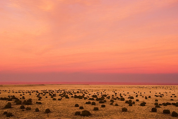 Sunsetting over the desert